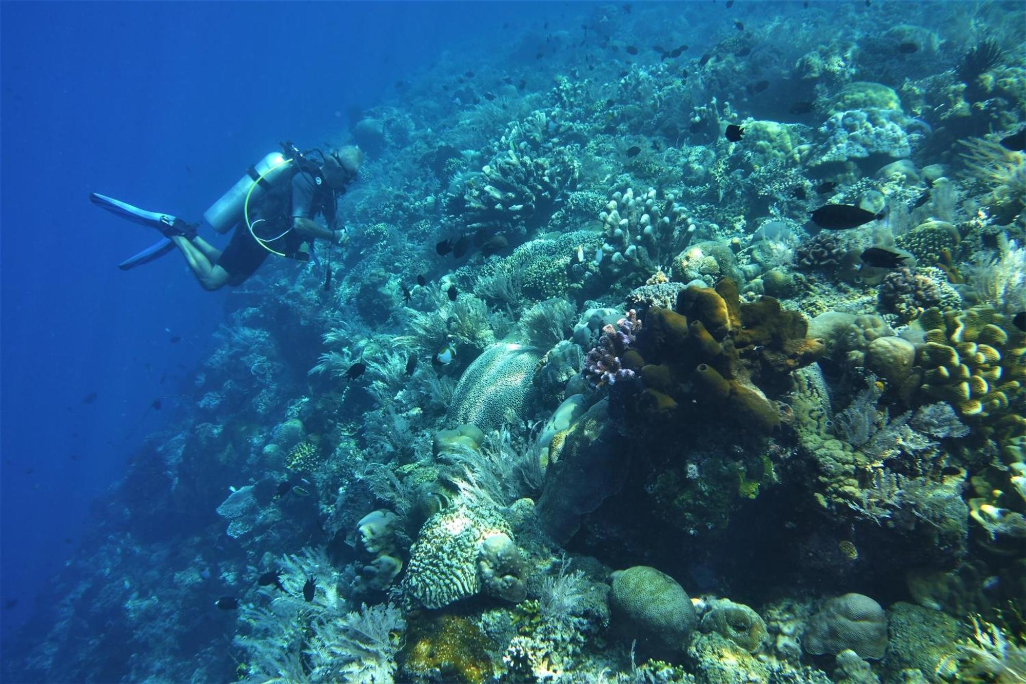 Bunaken Sea Garden Resort Exterior foto